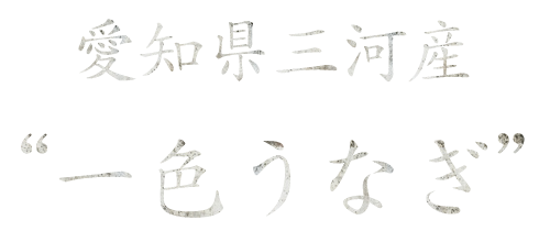 愛知県三河産一色うなぎ